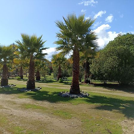 El Algarrobo Esterno foto