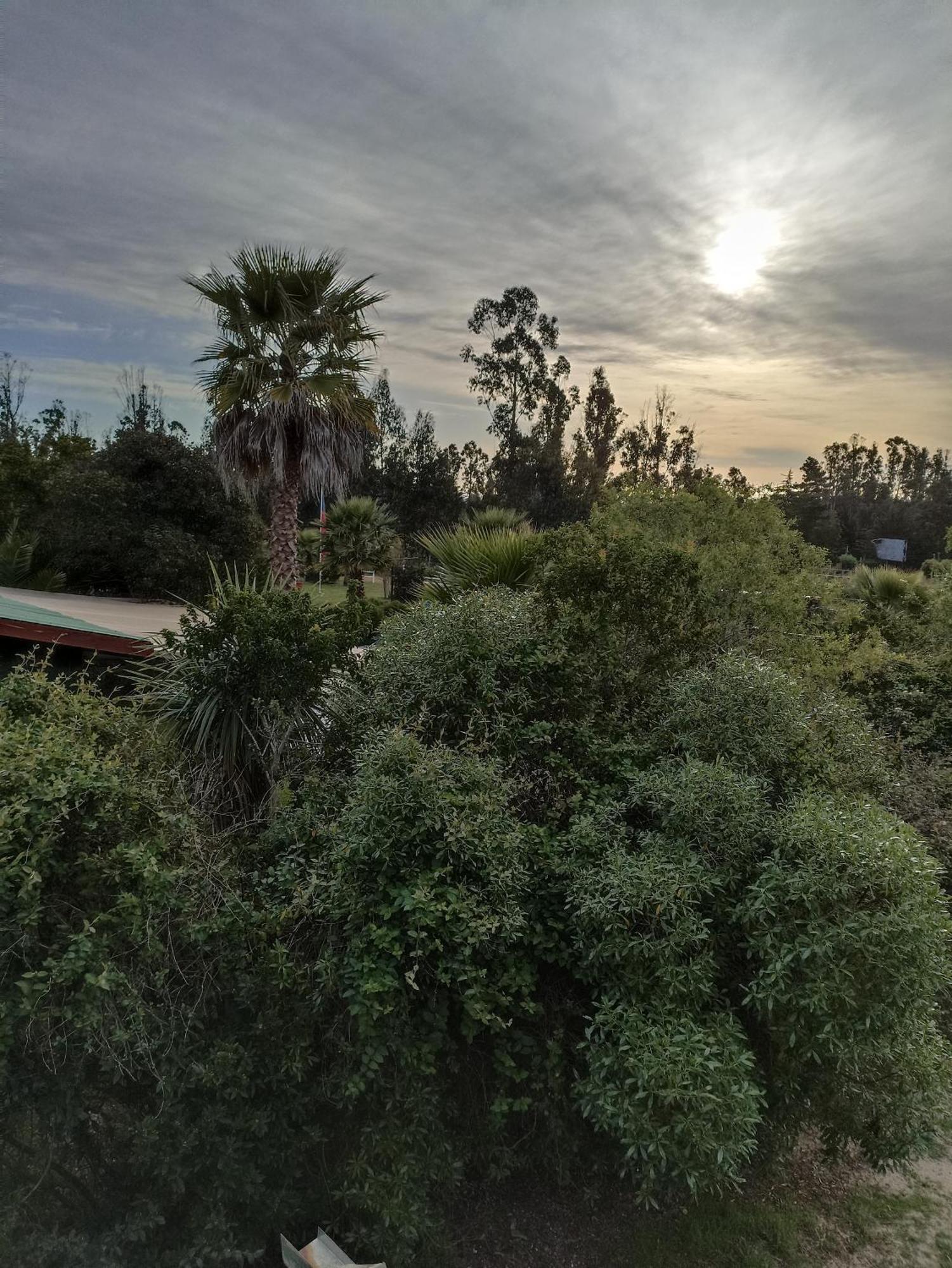 El Algarrobo Esterno foto