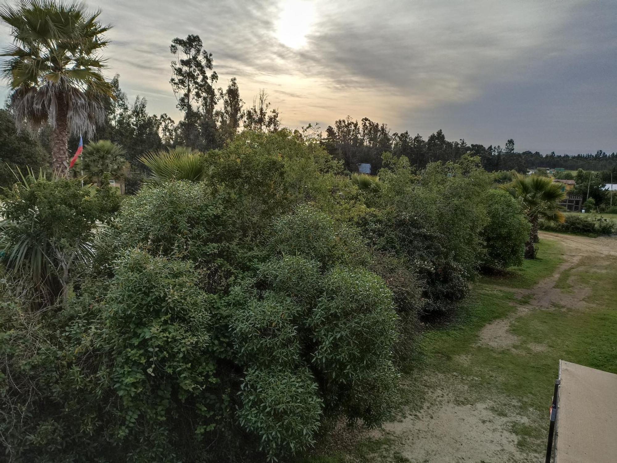 El Algarrobo Esterno foto